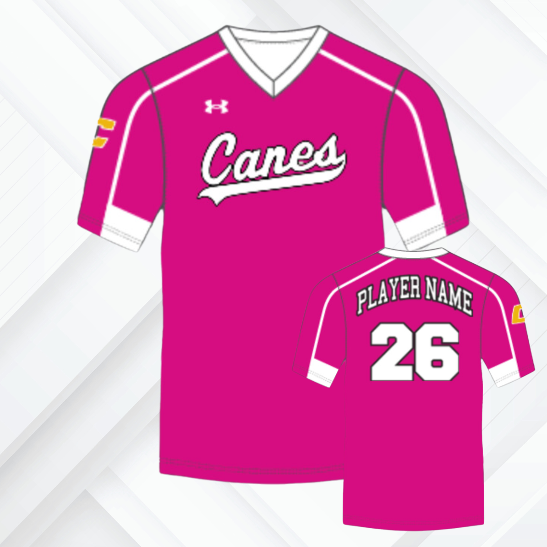 Canes Pink Out Jersey